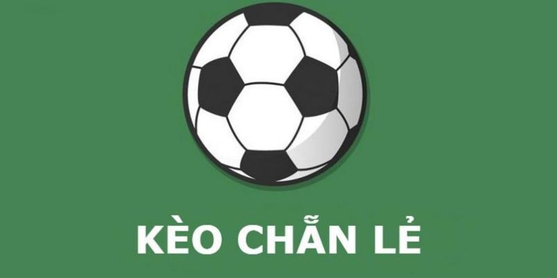 Chiến thuật đặt kèo chẵn lẻ dành cho bet thủ thông minh