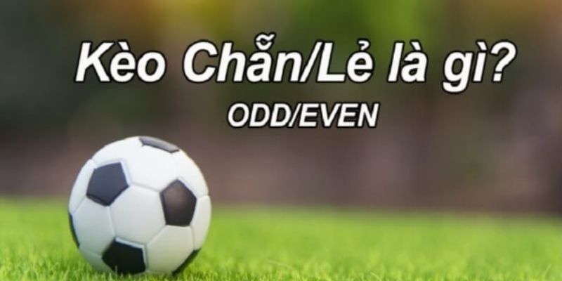 Kèo chẵn lẻ là gì? Khám phá nguyên tắc và cách chơi cơ bản